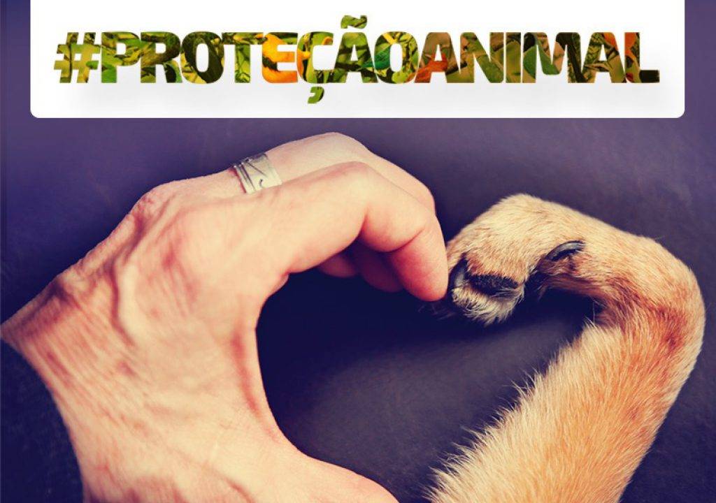 São Francisco abençoe os animais e os livre de falsos protetores em Teresina